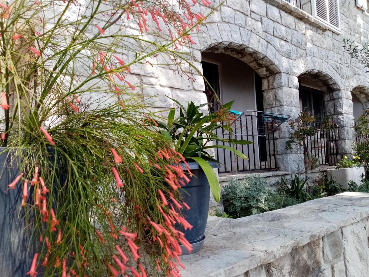 Apartment Zizi Omiš Exterior foto